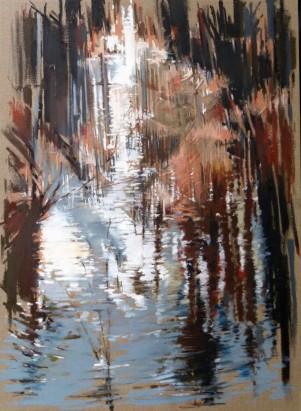 Ondes secrètes des marais.JPG